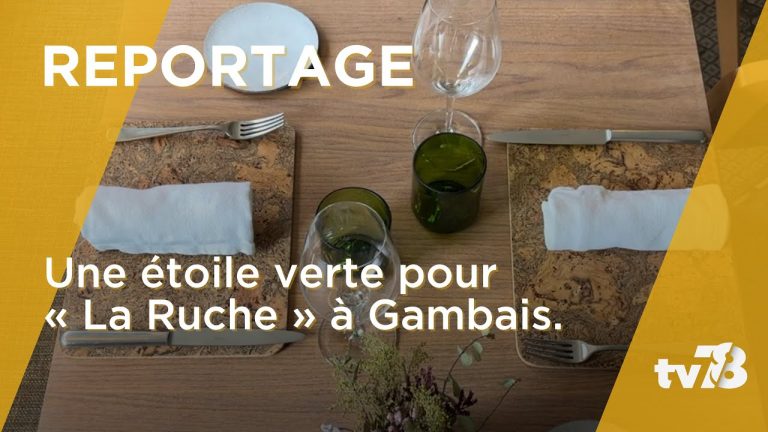 Le restaurant « Ruche » reçoit l’étoile verte du Guide Michelin