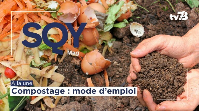 Les rendez-vous de tv78