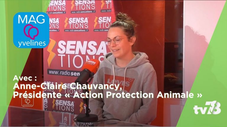 Les rendez-vous de tv78