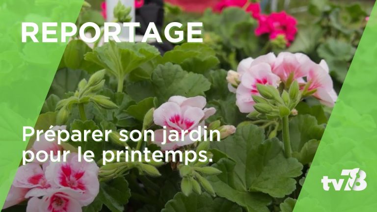 Préparer son jardin pour le printemps : quand et par quoi commencer ?