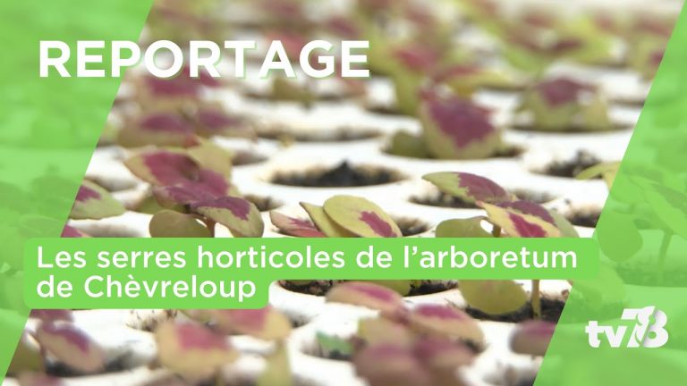 À la découverte des serres horticoles de l’Arboretum de Versailles-Chèvreloup