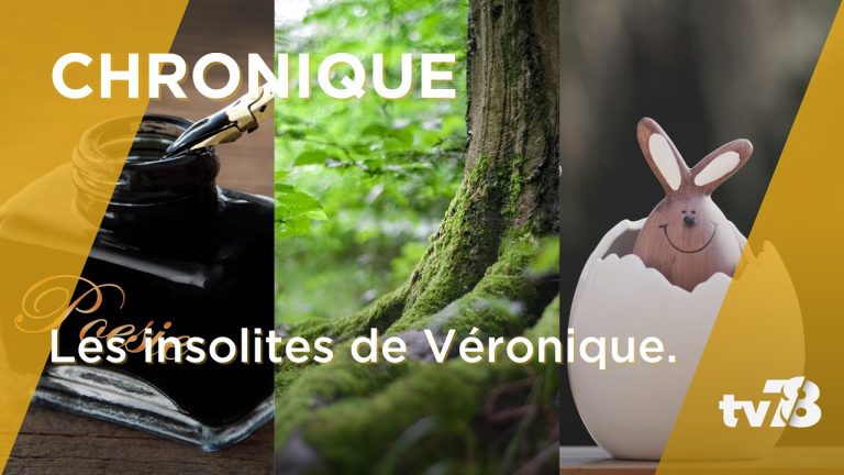 Les Insolites de Véronique du mardi 4 avril 2023