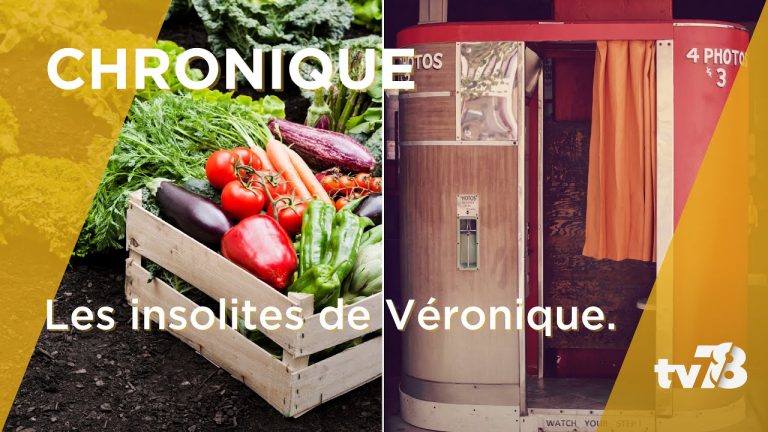 Les Insolites de Véronique du mardi 11 avril 2023