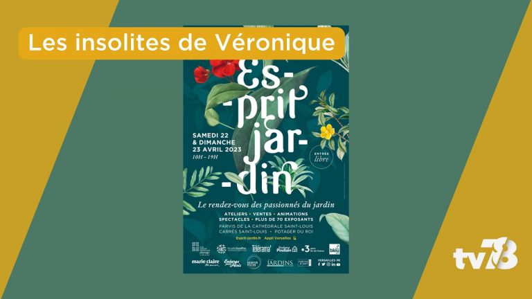 Les Insolites de Véronique du mardi 18 avril 2023