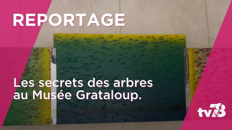 Les arbres dévoilent leurs secrets au musée Grataloup de Chevreuse