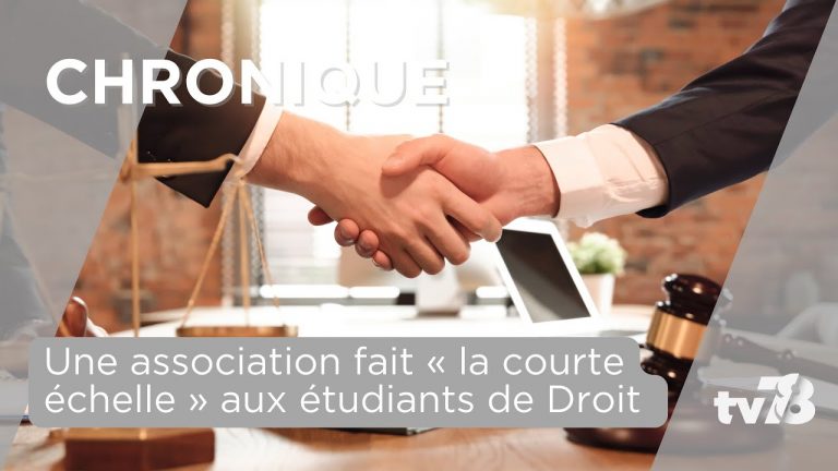 Une association fait « La Courte Échelle » aux étudiants en droit