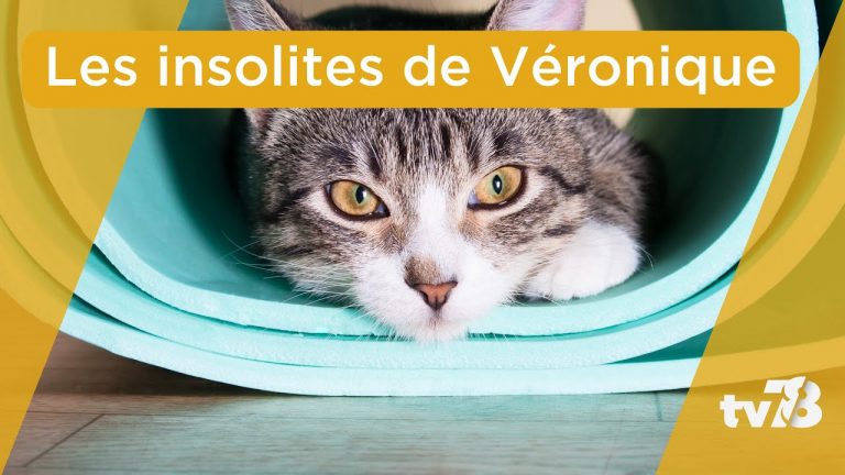 Les Insolites de Véronique du mardi 16 mai 2023