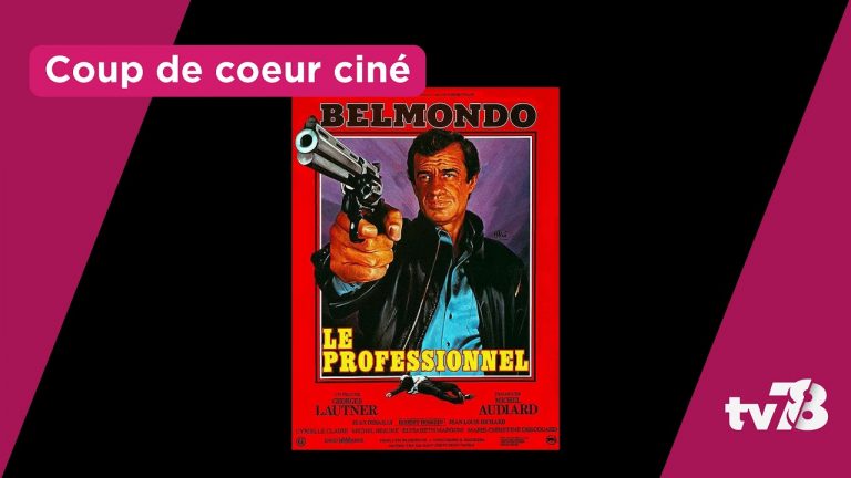 Le coup de cœur cinéma de Gaultier Barra : « Le Professionnel »