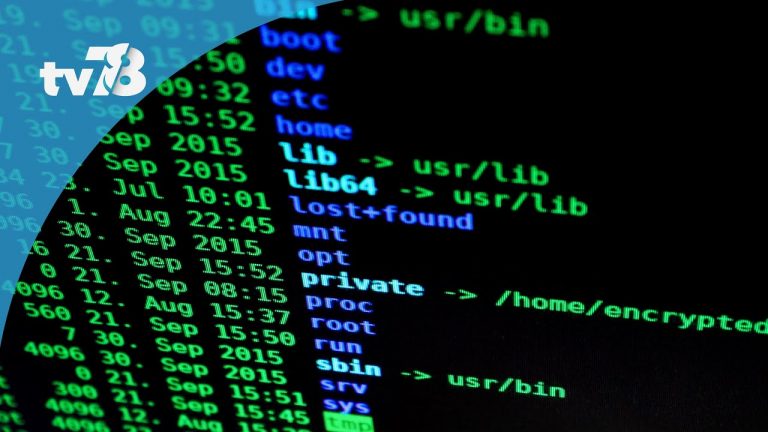 Assises de la cybersécurité : Comment protéger les collectivités ?