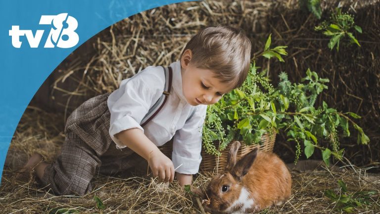 Dépasser ses peurs et ses difficultés avec les animaux de Christiane