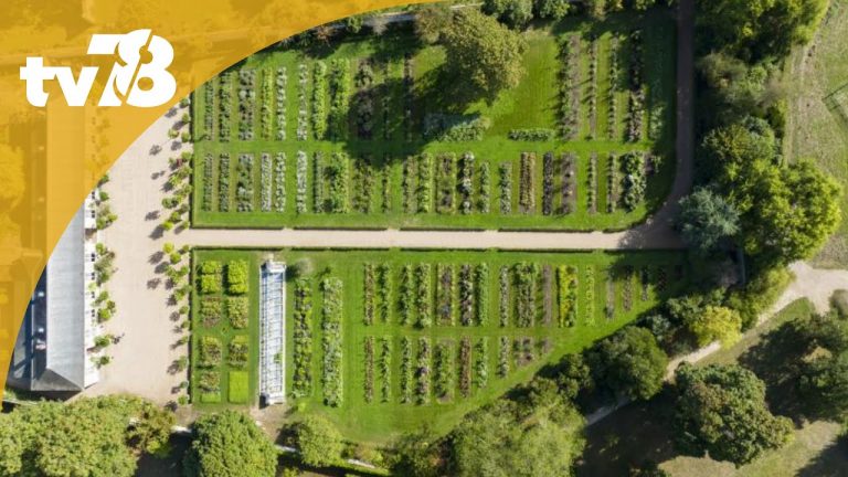 Les sens en éveil dans le « Jardin du Parfumeur » au Château de Versailles