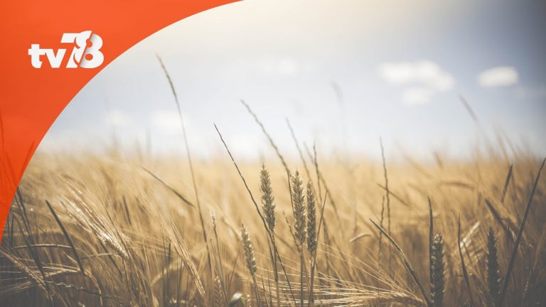 Le département dévoile six axes en faveur du bien-manger yvelinois