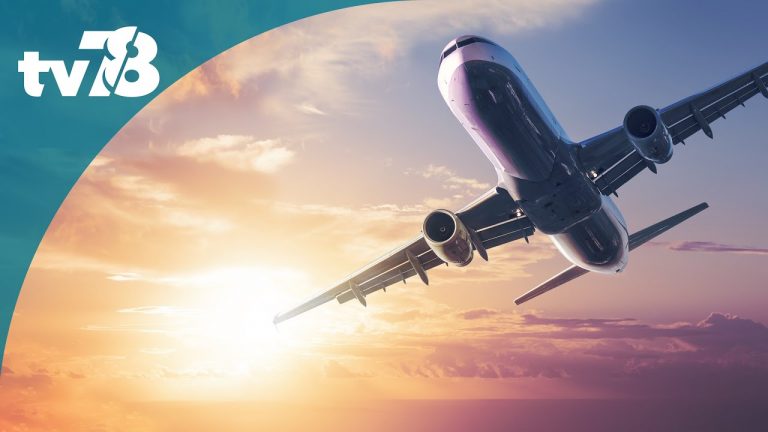 Le développement des biocarburants pour un avion décarboné