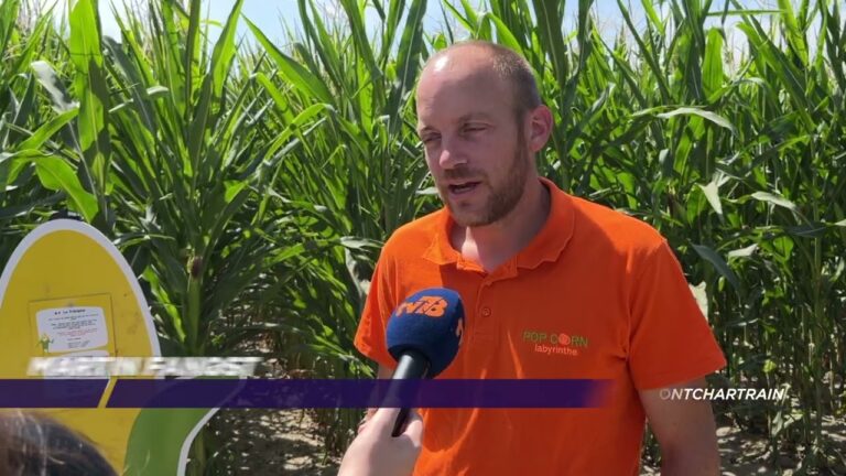 Découverte du “Pop corn labyrinthe” à Jouars-Pontchartrain