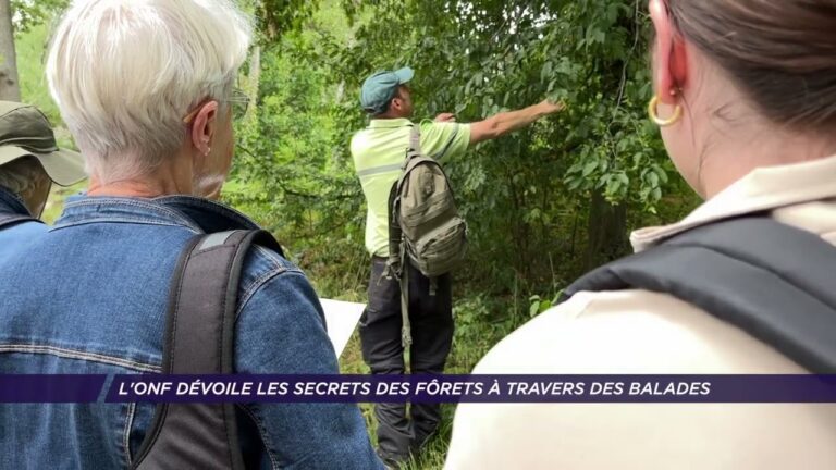 L’ONF dévoile les secrets des forêts à travers des balades