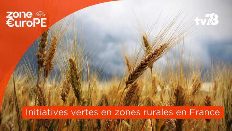 Les rendez-vous de tv78