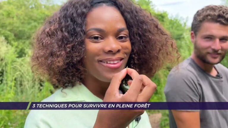 Mareil-Marly : 3 techniques pour survivre en pleine forêt