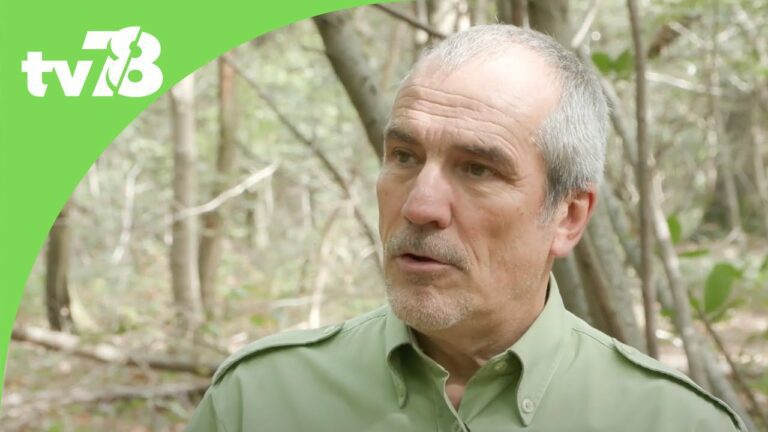 Tous en forêt revient pour une 3ème édition dans les Yvelines