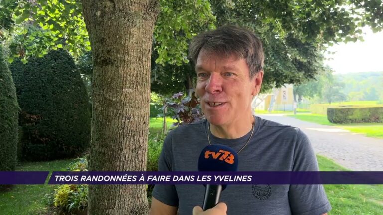 3 randonnées à faire dans les Yvelines