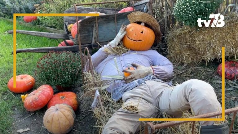 Le château de Dampierre se met aux couleurs d’Halloween