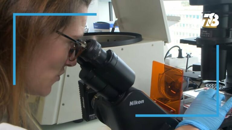 Trois yvelinoises lauréates du prix Jeunes talents L’Oréal-Unesco