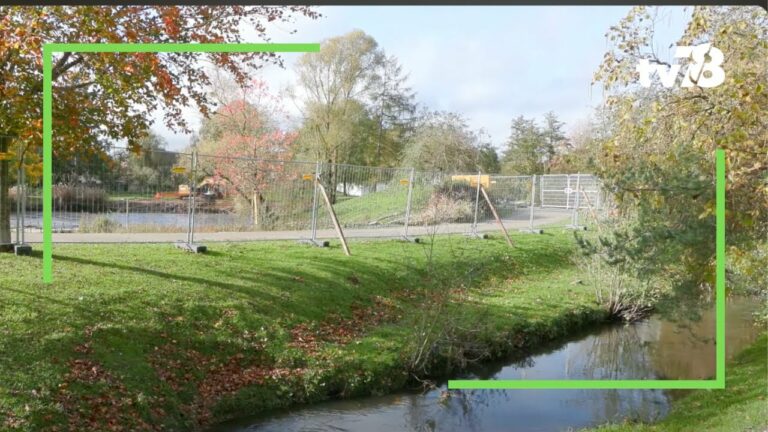 Polémique autour de la mare aux canards de Chevreuse