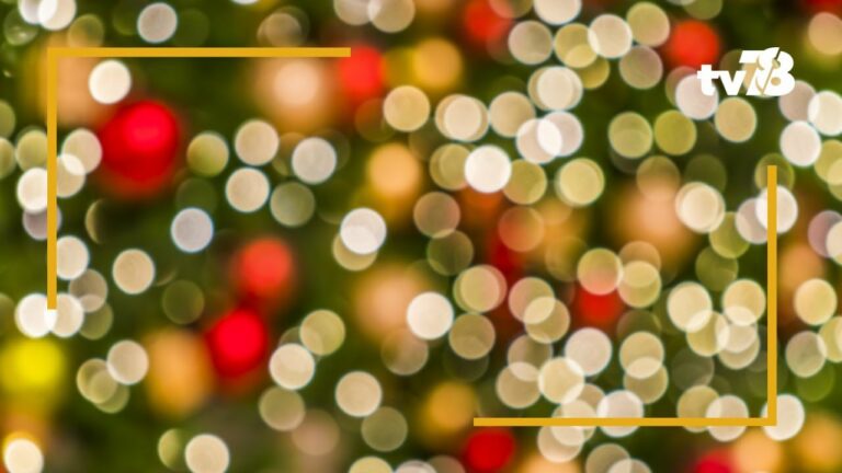 Saint-Cyr-L’école : La ferme de Gally organise « Noël et Merveilles » ce week-end