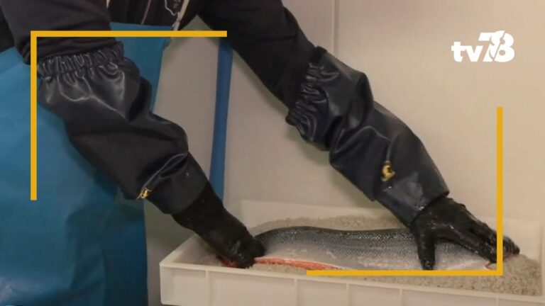 Éric Barnoud présente « La Fumerie du Coin » à Jouy-en-Josas