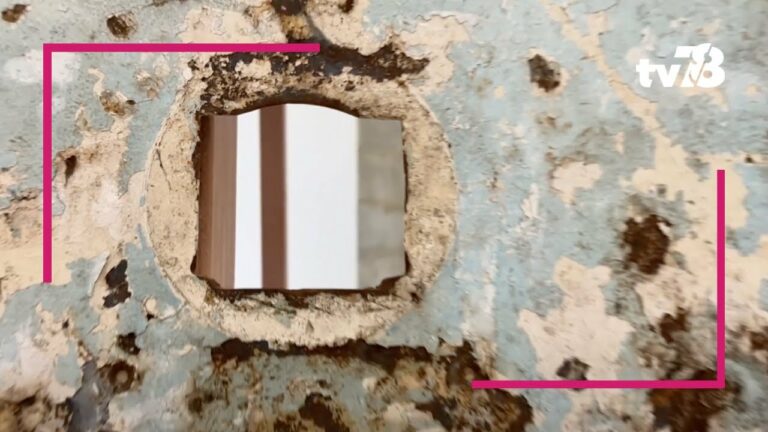 Nicolas Daubanes expose – « Du béton, de l’acier et de la viande » à Versailles