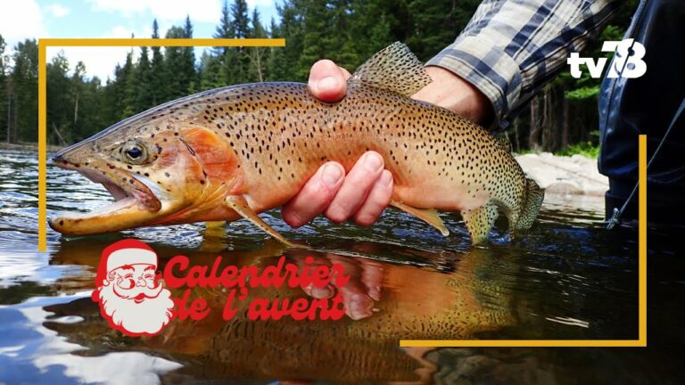 Le calendrier de l&rsquo;avent de tv78 : la pisciculture de Villette
