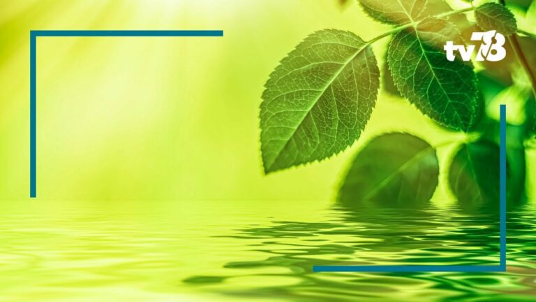 Le Club Climat Energie fête ses 10 ans