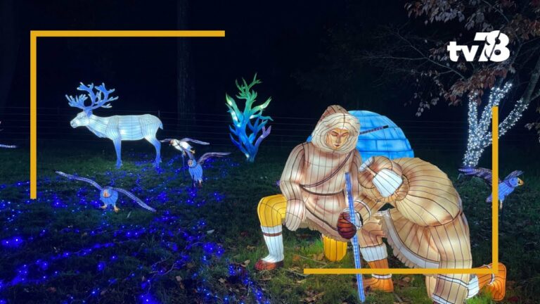 Que faire pour le week-end du 20 et 21 janvier dans les Yvelines ?