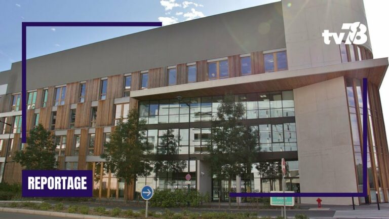 L’UFR Simone Veil, terre de formation santé