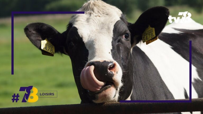Que faire pour le week-end du 24 et 25 février dans les Yvelines ?