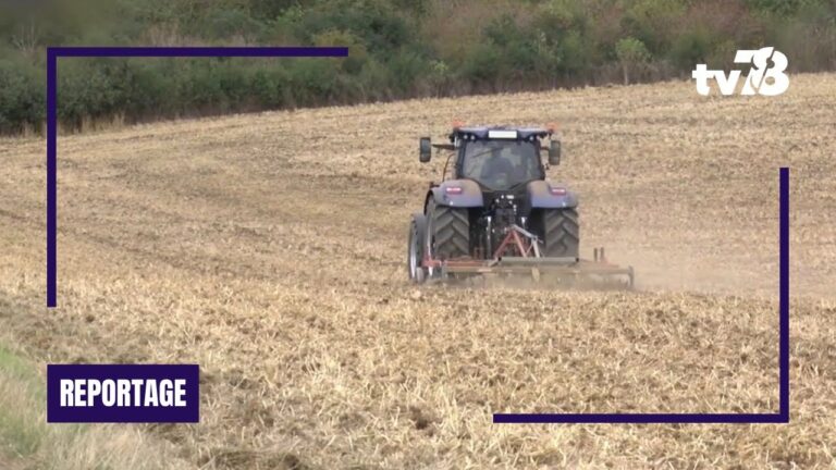 L’Île-de-France incite à la sanctuarisation de terres agricoles