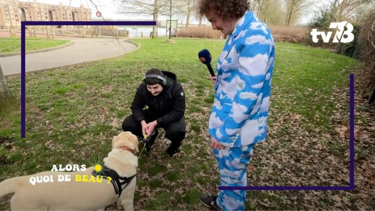 Alors quoi de beau ? Les croquettes pour chien