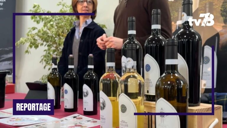 Les produits du terroir mis à l’honneur au Salon du vin et de la gastronomie