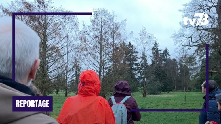 L’Arboretum de Versailles-Chèvreloup vous fait découvrir la vie des arbres en hiver