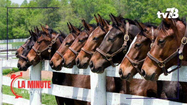 L’histoire de… Maisons-Laffitte, cité du cheval