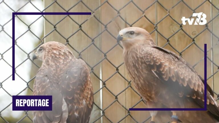 L’espace Rambouillet rouvre ses portes à Sonchamp