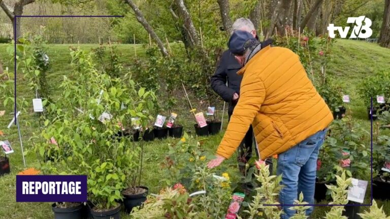 Retour sur la 21e édition de la Prairiale de Montigny-le-Bretonneux