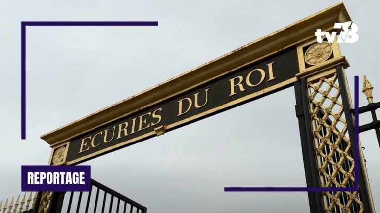 Les dessous des grandes affaires criminelles de Versailles