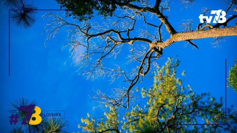 Que faire pour le week-end du 25 et 26 mai dans les Yvelines ?