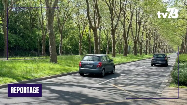 Comment s’organisent les Yvelinois face aux restrictions de circulation pour les JO ?