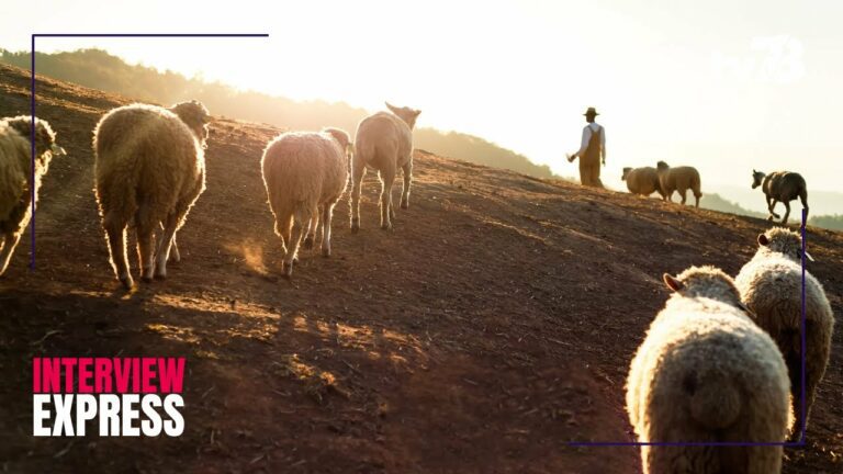 La 3ème coupe du monde des jeunes bergers s’achèvent à Rambouillet