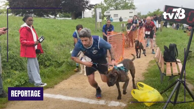 Maurepas : 150 participants pour le cani-cross !