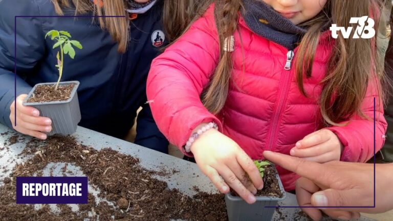 Les amoureux des plantes cultivent leur « Esprit Jardin » à Versailles