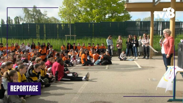 Plus de 700 collégiens se défient lors des « Jeux Apo’lympiques » à Plaisir