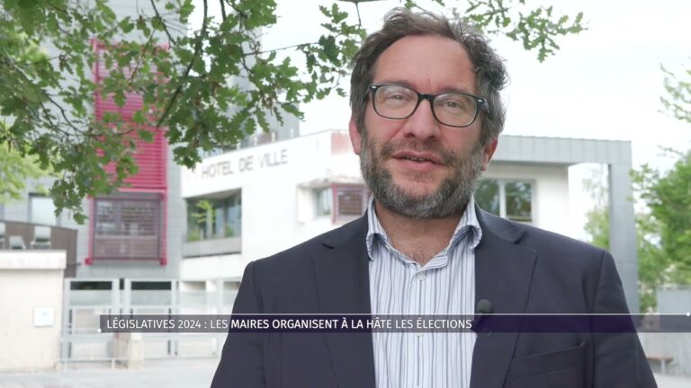 Législatives 2024 : les mairies organisent à la hâte les élections