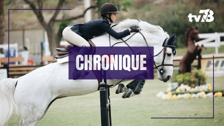 JO 2024 : on vous explique le concours complet d’équitation